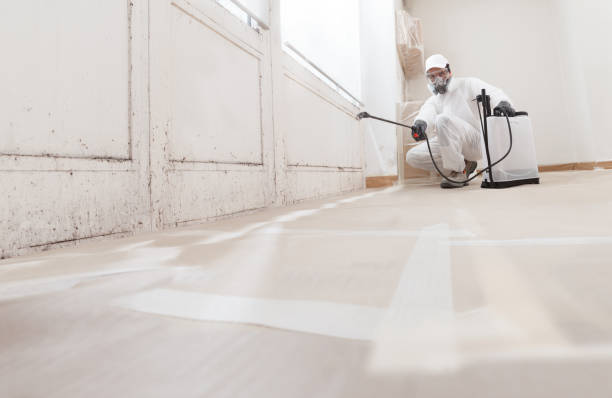 24/7 Emergency Attic Mold Removal experts in Cumberland, MD