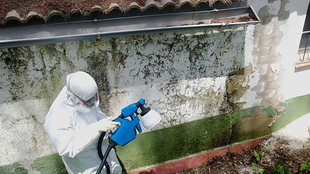 Top rated local Attic Mold Removal specialists in Cumberland, MD